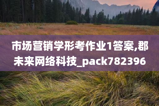 市场营销学形考作业1答案,郡未来网络科技_pack782396