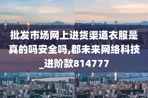 批发市场网上进货渠道衣服是真的吗安全吗,郡未来网络科技_进阶款814777