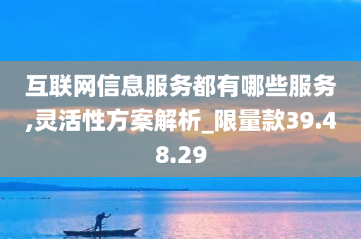 互联网信息服务都有哪些服务,灵活性方案解析_限量款39.48.29