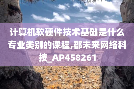 计算机软硬件技术基础是什么专业类别的课程,郡未来网络科技_AP458261