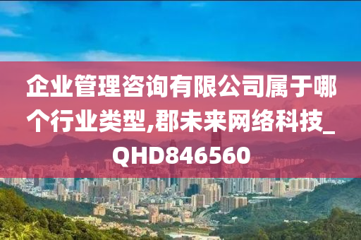 企业管理咨询有限公司属于哪个行业类型,郡未来网络科技_QHD846560