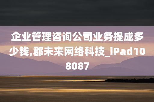 企业管理咨询公司业务提成多少钱,郡未来网络科技_iPad108087