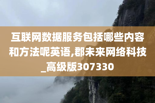 互联网数据服务包括哪些内容和方法呢英语,郡未来网络科技_高级版307330