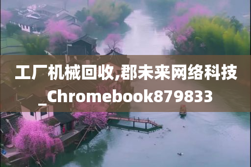 工厂机械回收,郡未来网络科技_Chromebook879833