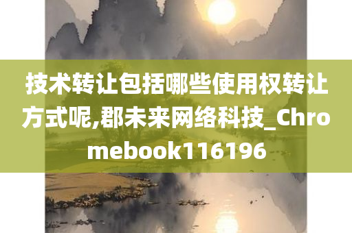 技术转让包括哪些使用权转让方式呢,郡未来网络科技_Chromebook116196