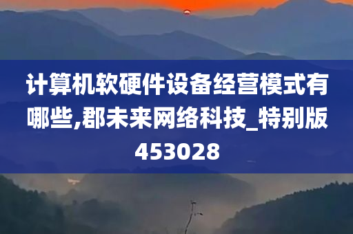 计算机软硬件设备经营模式有哪些,郡未来网络科技_特别版453028