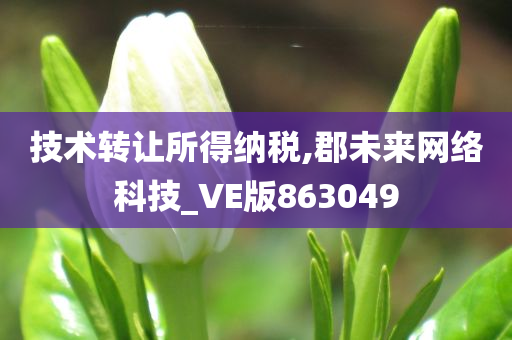 技术转让所得纳税,郡未来网络科技_VE版863049