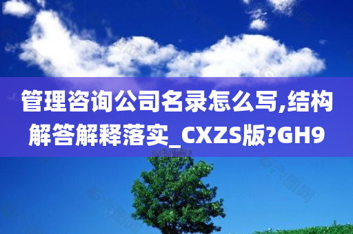 管理咨询公司名录怎么写,结构解答解释落实_CXZS版?GH9