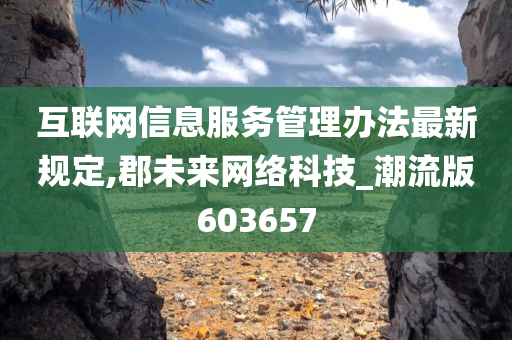 互联网信息服务管理办法最新规定,郡未来网络科技_潮流版603657