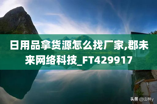 日用品拿货源怎么找厂家,郡未来网络科技_FT429917