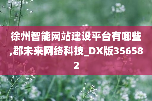 徐州智能网站建设平台有哪些,郡未来网络科技_DX版356582