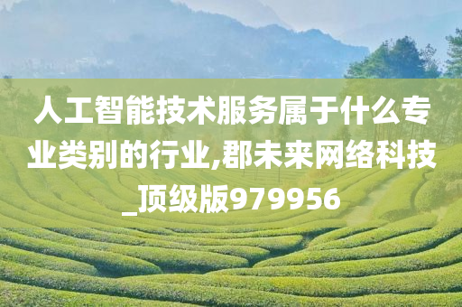 人工智能技术服务属于什么专业类别的行业,郡未来网络科技_顶级版979956