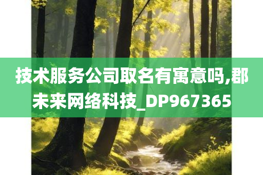 技术服务公司取名有寓意吗,郡未来网络科技_DP967365