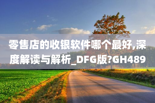 零售店的收银软件哪个最好,深度解读与解析_DFG版?GH489