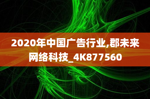 2020年中国广告行业,郡未来网络科技_4K877560