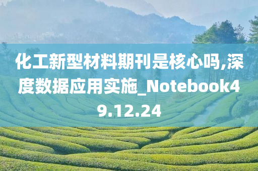 化工新型材料期刊是核心吗,深度数据应用实施_Notebook49.12.24