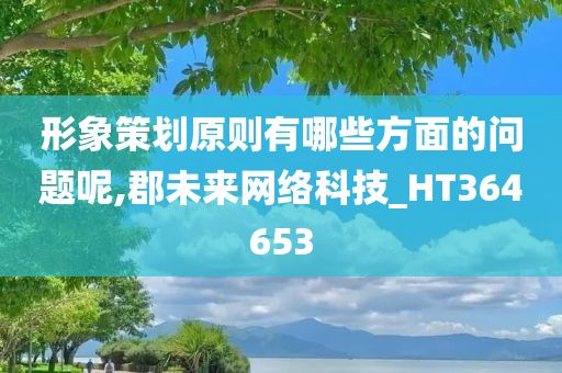 形象策划原则有哪些方面的问题呢,郡未来网络科技_HT364653