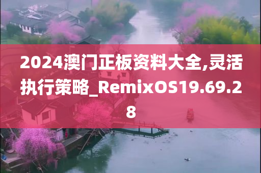 2024澳门正板资料大全,灵活执行策略_RemixOS19.69.28