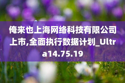 俺来也上海网络科技有限公司上市,全面执行数据计划_Ultra14.75.19