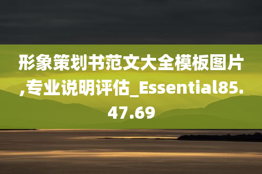 形象策划书范文大全模板图片,专业说明评估_Essential85.47.69