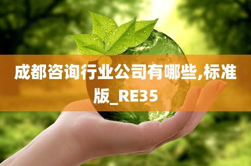 成都咨询行业公司有哪些,标准版_RE35