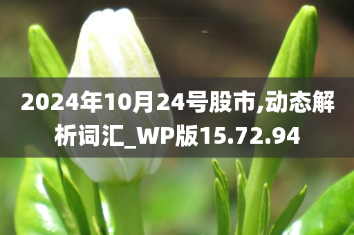 2024年10月24号股市,动态解析词汇_WP版15.72.94