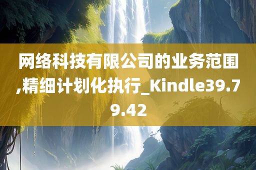 网络科技有限公司的业务范围,精细计划化执行_Kindle39.79.42