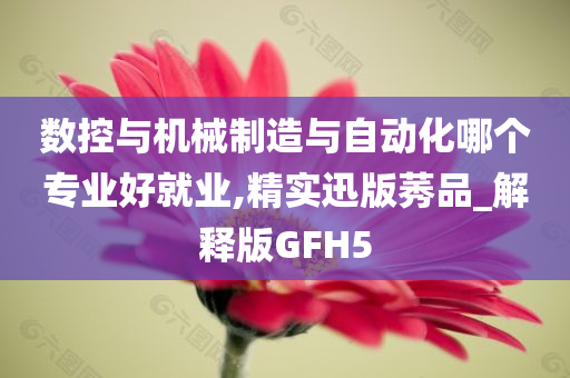 数控与机械制造与自动化哪个专业好就业,精实迅版莠品_解释版GFH5