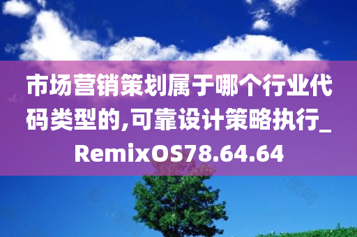 市场营销策划属于哪个行业代码类型的,可靠设计策略执行_RemixOS78.64.64