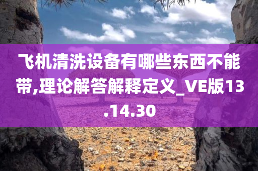 飞机清洗设备有哪些东西不能带,理论解答解释定义_VE版13.14.30