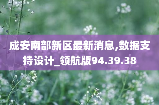 成安南部新区最新消息,数据支持设计_领航版94.39.38