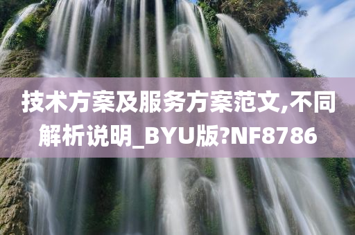 技术方案及服务方案范文,不同解析说明_BYU版?NF8786