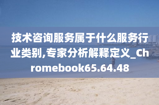 技术咨询服务属于什么服务行业类别,专家分析解释定义_Chromebook65.64.48