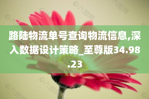 路陆物流单号查询物流信息,深入数据设计策略_至尊版34.98.23