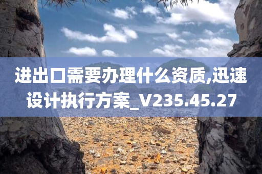 进出口需要办理什么资质,迅速设计执行方案_V235.45.27