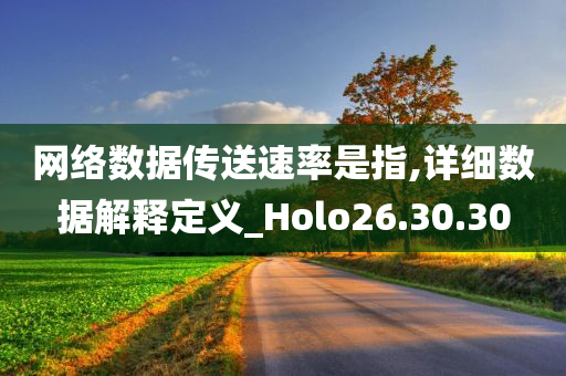 网络数据传送速率是指,详细数据解释定义_Holo26.30.30