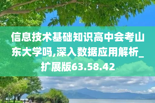 信息技术基础知识高中会考山东大学吗,深入数据应用解析_扩展版63.58.42