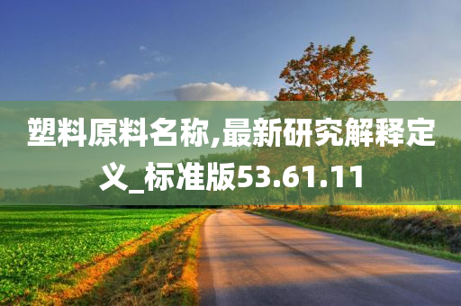 塑料原料名称,最新研究解释定义_标准版53.61.11