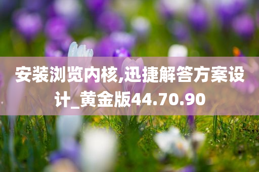 安装浏览内核,迅捷解答方案设计_黄金版44.70.90