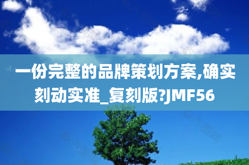 一份完整的品牌策划方案,确实刻动实准_复刻版?JMF56