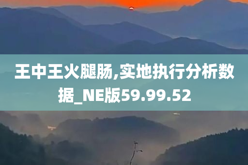 王中王火腿肠,实地执行分析数据_NE版59.99.52