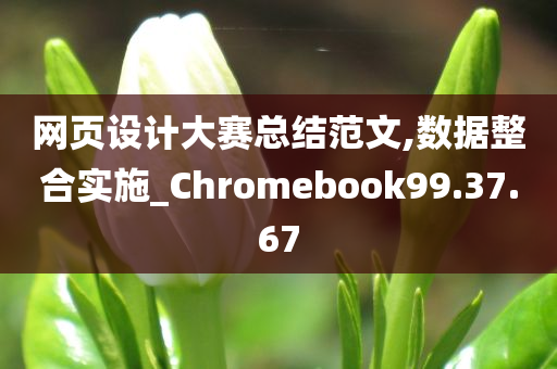 网页设计大赛总结范文,数据整合实施_Chromebook99.37.67