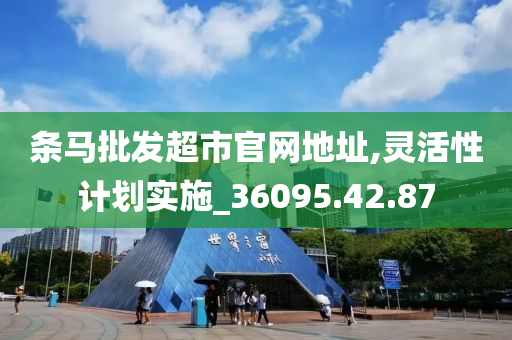 条马批发超市官网地址,灵活性计划实施_36095.42.87