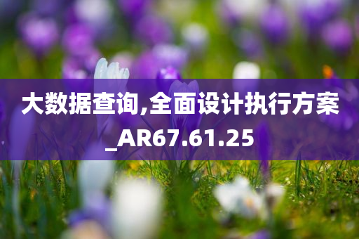 大数据查询,全面设计执行方案_AR67.61.25