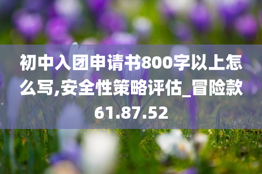 初中入团申请书800字以上怎么写,安全性策略评估_冒险款61.87.52