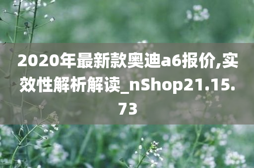 2020年最新款奥迪a6报价,实效性解析解读_nShop21.15.73