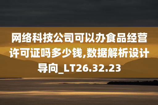 网络科技公司可以办食品经营许可证吗多少钱,数据解析设计导向_LT26.32.23