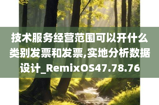 技术服务经营范围可以开什么类别发票和发票,实地分析数据设计_RemixOS47.78.76