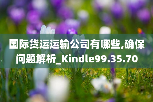 国际货运运输公司有哪些,确保问题解析_Kindle99.35.70