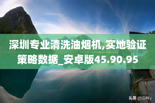 深圳专业清洗油烟机,实地验证策略数据_安卓版45.90.95